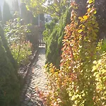 Zakoniczynka *