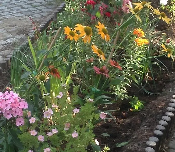 Hostel Zakoniczynka Γκντανσκ