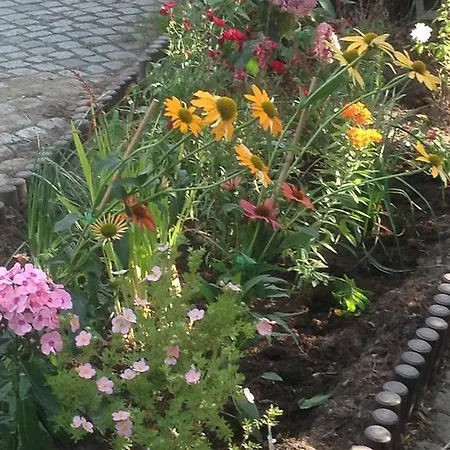 Hostel Zakoniczynka Gdańsk